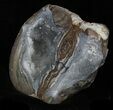 Crystal Filled Dugway Geode (Polished Half) #33171-2